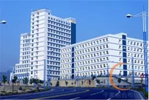 攀枝花钢铁集团